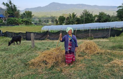 Karen Woman in the Field